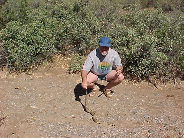 Rich releasing Blacktail Rattlesnake